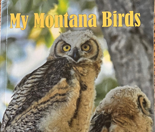 My Montana Birds Book